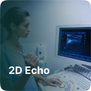 Diagnostic feature 8